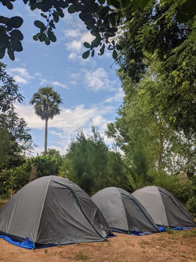 Travellers Tribe By Livelehood Habitat Hostel Auroville Exterior photo