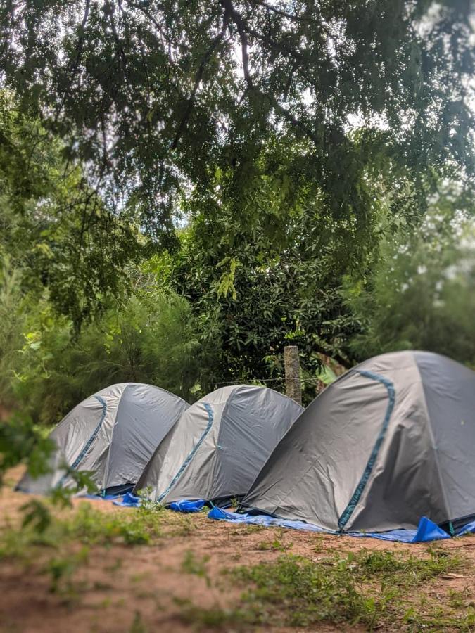 Travellers Tribe By Livelehood Habitat Hostel Auroville Exterior photo