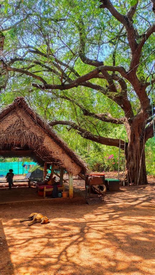 Travellers Tribe By Livelehood Habitat Hostel Auroville Exterior photo